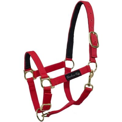 Umbria Equitazione CA00040 Halter - Rose - Publicité Umbria Equitazione CA00040 Halter - Rose - Publicité