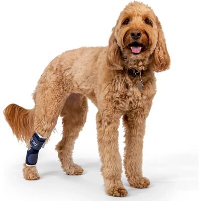 Balto BT Hock Supporto per Cani - Supporto per Lesioni alla Zampa Balto BT Hock Supporto per Cani - Supporto per Lesioni alla Zampa