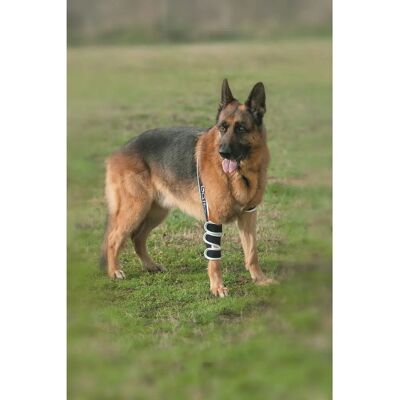 Balto BT Soft Tutore per Gomito Sinistro - Supporto Animale Balto BT Soft Tutore per Gomito Sinistro - Supporto Animale