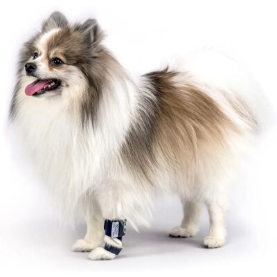 Balto Bt Splint Supporto Articolazioni Cane - Medio Balto Bt Splint Supporto Articolazioni Cane - Medio