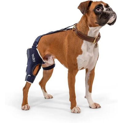 Tutore Ortopedico Ginocchio Balto BT Jump - L Tutore Ortopedico Ginocchio Balto BT Jump - L