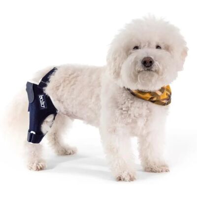Amicafarmacia Balto BT Jump Support Ginocchio Amicafarmacia Balto BT Jump Support Ginocchio