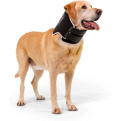 Balto BT Neck Eco - S - Collare per cani Balto BT Neck Eco - S - Collare per cani