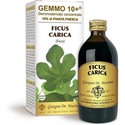 Dr. Giorgini Fico Gemmo 10+ - Integratore alimentare Dr. Giorgini Fico Gemmo 10+ - Integratore alimentare