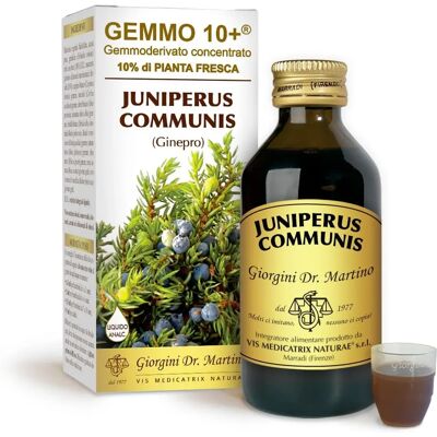 Dr. Giorgini Ginepro 100ml Líquido Natural Apoyo Dr. Giorgini Ginepro 100ml Líquido Natural Apoyo