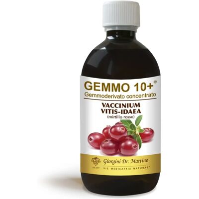 Extracto de Ginkgo - Suplemento herbal - 60ml Extracto de Ginkgo - Suplemento herbal - 60ml