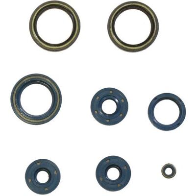 Set di guarnizioni olio motore ATHENA P400010400012 - Per Aprilia 125 AF1 Europa / Futura Set di guarnizioni olio motore ATHENA P400010400012 - Per Aprilia 125 AF1 Europa / Futura