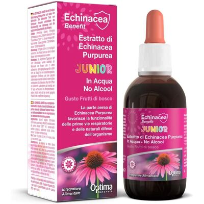 Optima Naturals Echinacea Extrakt Ohne Alkohol - 50ml - Atemwegsgesundheit Optima Naturals Echinacea Extrakt Ohne Alkohol - 50ml - Atemwegsgesundheit