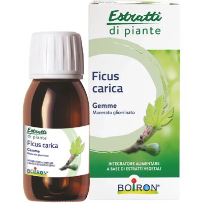 Boiron Gemme Fico 60ml - Supporto digestivo Boiron Gemme Fico 60ml - Supporto digestivo