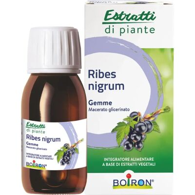 Boiron Ribes Nigrum Macerato Glicerico - Supporto Immunità & Articolazioni Boiron Ribes Nigrum Macerato Glicerico - Supporto Immunità & Articolazioni