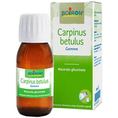 Boiron Carpinus Betulus Estratto Glicerico - Medicina Omeopatica Boiron Carpinus Betulus Estratto Glicerico - Medicina Omeopatica