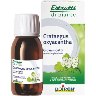 Boiron Biancospino - Estratti di Piante - Integratore Naturale Boiron Biancospino - Estratti di Piante - Integratore Naturale