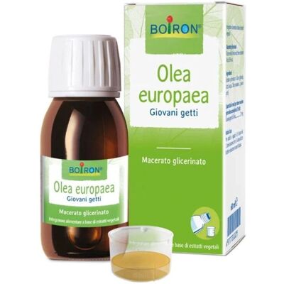 Boiron Olea Europaea Gaggi Giovani - Integratore alimentare Boiron Olea Europaea Gaggi Giovani - Integratore alimentare