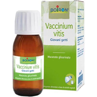 Boiron Vaccinium Vitis Macerato Glicerico - 60 ml - Integratore per il benessere femminile e urinario Boiron Vaccinium Vitis Macerato Glicerico - 60 ml - Integratore per il benessere femminile e urinario
