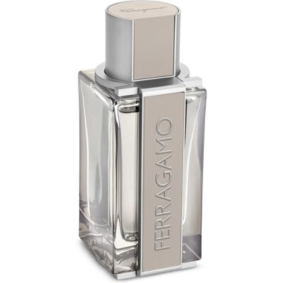Salvatore Ferragamo Bright Leather Homme Eau de Toilette - 100ml - Publicité Salvatore Ferragamo Bright Leather Homme Eau de Toilette - 100ml - Publicité