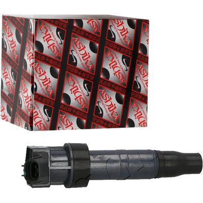 Ashika 273003F100 Zündspule - Für Hyundai Genesis, Kia Magentis Ashika 273003F100 Zündspule - Für Hyundai Genesis, Kia Magentis