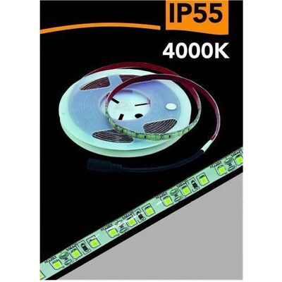 Trade Shop - 2835 5m 12V - IP55 - 4000K - LED Strip Trade Shop - 2835 5m 12V - IP55 - 4000K - LED Strip
