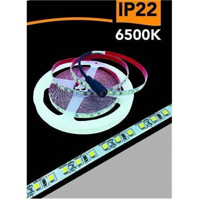 Trade Shop - Striscia Led 2835 - 5m - 12V - tira de LED Trade Shop - Striscia Led 2835 - 5m - 12V - tira de LED