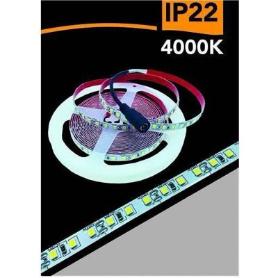 TRADE SHOP TRAESIO - 2835-12V - 5m - 600LED - Tira LED TRADE SHOP TRAESIO - 2835-12V - 5m - 600LED - Tira LED