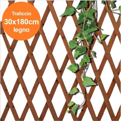 Trade Shop - Dunkles Holz Erweitbares Gartengitter 180x30cm Trade Shop - Dunkles Holz Erweitbares Gartengitter 180x30cm