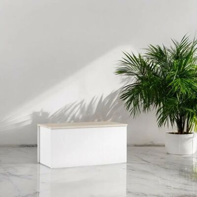 DMORA Miltonia Coffre de Rangement - Résistant aux chocs, Multiusage, 90x45 cm - Publicité DMORA Miltonia Coffre de Rangement - Résistant aux chocs, Multiusage, 90x45 cm - Publicité