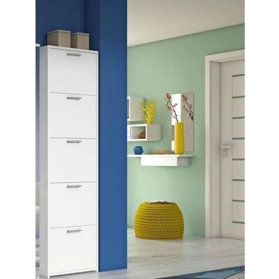 DMORA Dafne Zapatero - Mueble moderno con 5 puertas DMORA Dafne Zapatero - Mueble moderno con 5 puertas