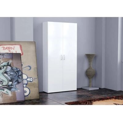 DMORA Zapatero Moderno Blanco con 2 Puertas - Mueble de Zapatos DMORA Zapatero Moderno Blanco con 2 Puertas - Mueble de Zapatos