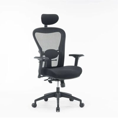 Silla de oficina Auckland Dmora - Malla ergonómica con reposabrazos Silla de oficina Auckland Dmora - Malla ergonómica con reposabrazos