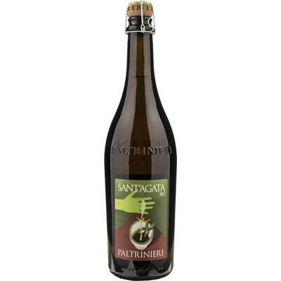 Paltrinieri Lambrusco Sant'Agata 2022 - Lambrusco Paltrinieri Lambrusco Sant'Agata 2022 - Lambrusco
