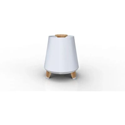 Haut-parleur portable Akai AKBT80 - Bluetooth, LED, 10W - Publicité Haut-parleur portable Akai AKBT80 - Bluetooth, LED, 10W - Publicité