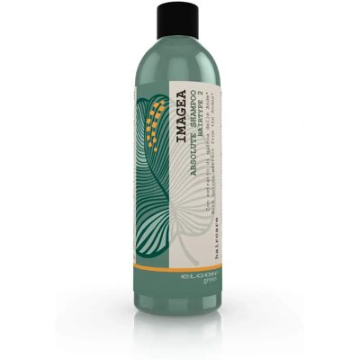Shampoo Assoluto Immaginea - Shampoo per Capelli Colorati Shampoo Assoluto Immaginea - Shampoo per Capelli Colorati