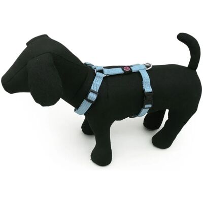 PET AROUND YOU - Pettorina Reflective Nylon Celeste - Pettorina Reflective Nylon Celeste - Collare PET AROUND YOU - Pettorina Reflective Nylon Celeste - Pettorina Reflective Nylon Celeste - Collare