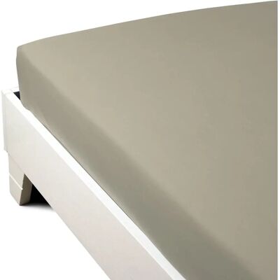 Caleffi - Drap de Matelas Percale - Marron Caleffi - Drap de Matelas Percale - Marron