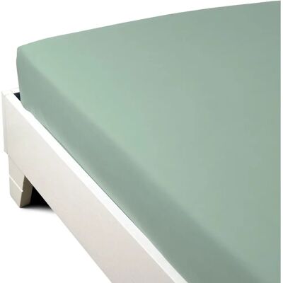Drap-housse Percale Giada de Caleffi - Drap de lit Drap-housse Percale Giada de Caleffi - Drap de lit