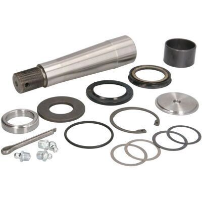 C.E.I 230042 Kit de reparație pentru pivot de direcție - Kit de reparație pentru pivot de direcție C.E.I 230042 Kit de reparație pentru pivot de direcție - Kit de reparație pentru pivot de direcție