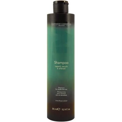 DCM Trocken & Brüchiges Haar Shampoo - Haarpflege DCM Trocken & Brüchiges Haar Shampoo - Haarpflege