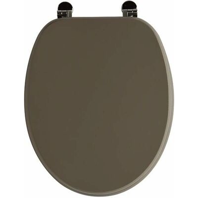 Asiento de Inodoro Kiamami Valentina - Bisagras Ajustables - Gris Mate Asiento de Inodoro Kiamami Valentina - Bisagras Ajustables - Gris Mate