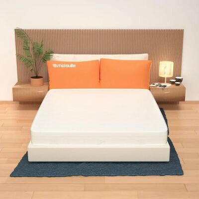 MIASUITE Modello H14 Materasso Waterfoam Aloe Vera - Ortopedico, Pieghevole MIASUITE Modello H14 Materasso Waterfoam Aloe Vera - Ortopedico, Pieghevole