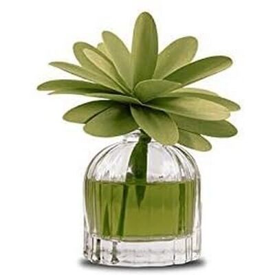 Diffusore Muha Marca Mosto Supremo - Verde - Diffusore - 60ml - Fragranza per interni Diffusore Muha Marca Mosto Supremo - Verde - Diffusore - 60ml - Fragranza per interni