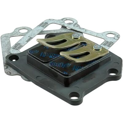 Polini Carbon Valve Set - Scooter Type Polini Carbon Valve Set - Scooter Type