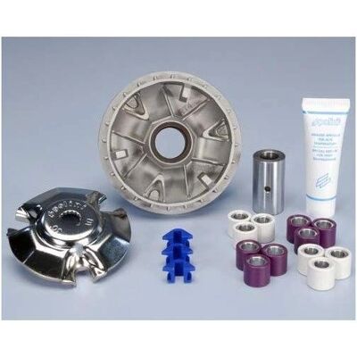 Variatore Polini Maxi Hi-Speed per Yamaha X-Max 125 - Variatore Variatore Polini Maxi Hi-Speed per Yamaha X-Max 125 - Variatore