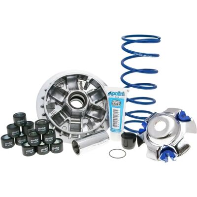 Variateur Hi-Speed POLINI pour Kymco Downtown & Kawasaki J300 Variateur Hi-Speed POLINI pour Kymco Downtown & Kawasaki J300