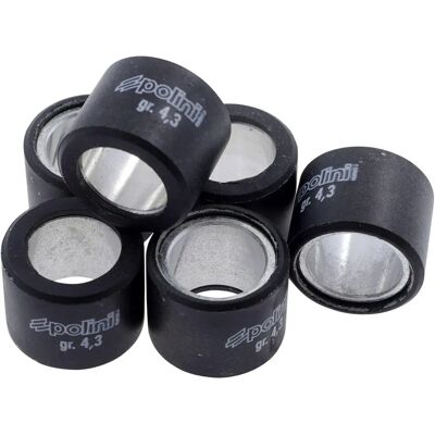 POLINI 19x15.5mm Plastic-Coated Variomatik Weights - 6 pcs POLINI 19x15.5mm Plastic-Coated Variomatik Weights - 6 pcs
