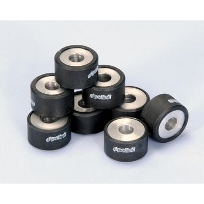 Rulli variatore Polini 25x15mm - Parti per scooter Rulli variatore Polini 25x15mm - Parti per scooter