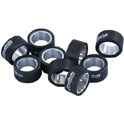 Polini Super Speed Variator Weights - 3.8g Polini Super Speed Variator Weights - 3.8g