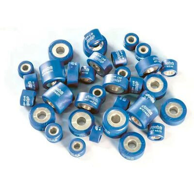 Rulli variatore Polini 20,9x17mm - Set da 6 - 12,5g Rulli variatore Polini 20,9x17mm - Set da 6 - 12,5g
