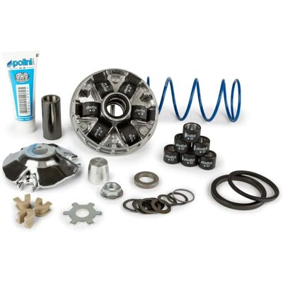 Variateur Polini Hi-Speed Evo pour Scooters - Durable, Haute Performance Variateur Polini Hi-Speed Evo pour Scooters - Durable, Haute Performance