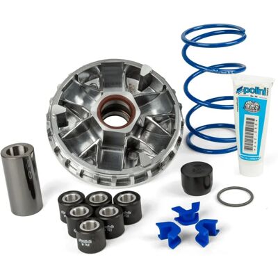 Variateur Polini Maxi Hi Speed pour Sym 300 Euro 5 Variateur Polini Maxi Hi Speed pour Sym 300 Euro 5