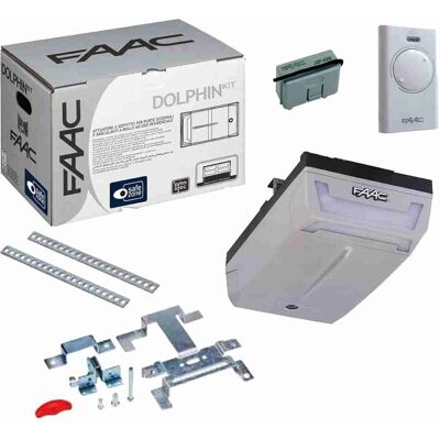 Kit di Automazione Porta Garage Faac - 10566544 - 24V, 600N Kit di Automazione Porta Garage Faac - 10566544 - 24V, 600N