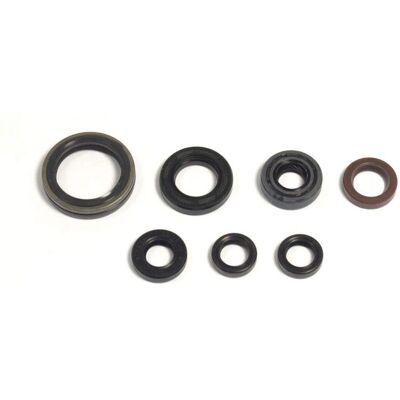 Kit de Selos de Óleo do Motor Athena - Gas Gas Ec 250/300 F 2013-2015 Kit de Selos de Óleo do Motor Athena - Gas Gas Ec 250/300 F 2013-2015